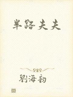 半路夫夫