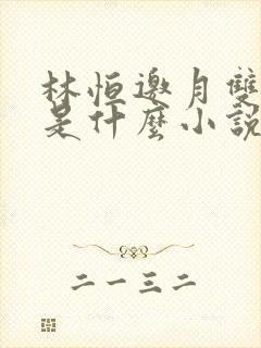 林恒邀月双胞胎是什么小说