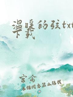 温暖的弦txt下载