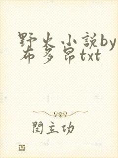 野火小说by夏布多昂txt