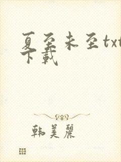 夏至未至txt下载
