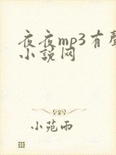 夜夜mp3有声小说网