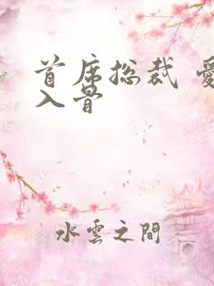 首席总裁 爱你入骨