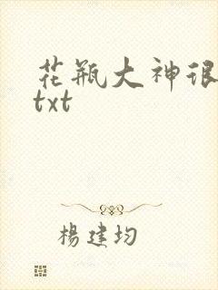 花瓶大神很菜鸟txt
