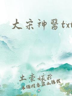 大宋神医txt
