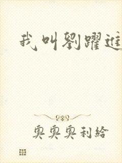 我叫刘跃进下载