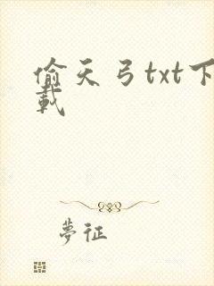 偷天弓txt下载