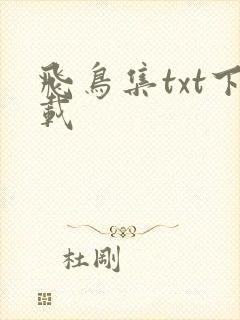 飞鸟集txt下载