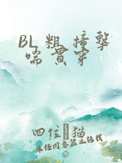 BL 粗 撞击 喘 贯穿