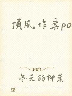 顶风作案po