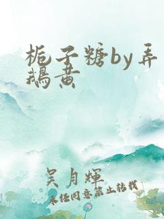 栀子糖by弄白鹅黄