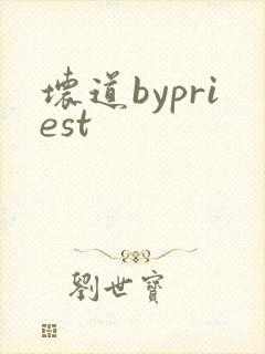 坏道bypriest