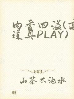 肉香四溢(高H道具PLAY)