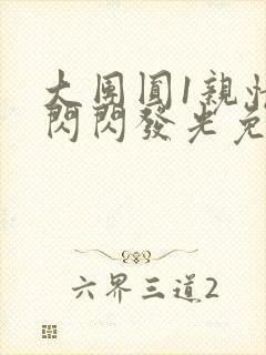 大团圆1亲情会闪闪发光免费