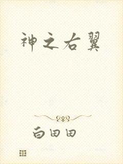 神之右翼