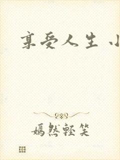享受人生 小说