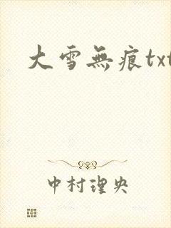 大雪无痕txt