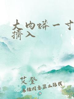 大肉蟒一寸一寸挤入