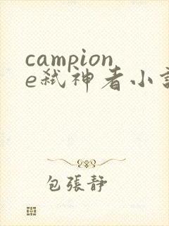 campione弑神者小说
