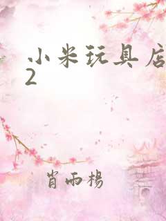 小米玩具店老板2