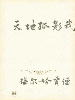 天地孤影我独行