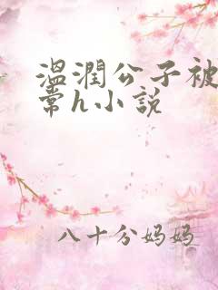 温润公子被脔日常h小说