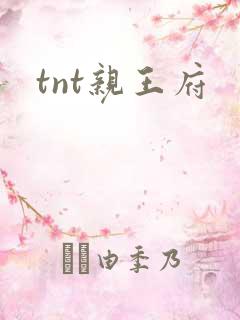 tnt亲王府