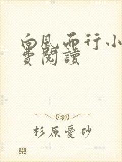 向风而行小说免费阅读