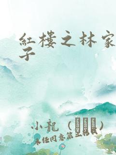 红楼之林家庶长子