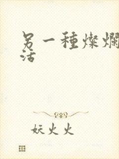 另一种灿烂的生活