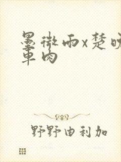 墨微雨x楚晚宁车肉