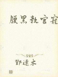 腹黑教官宠逃妻