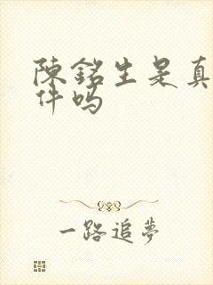 陈铭生是真实事件吗