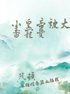 小皇帝被大臣轮番宠爱