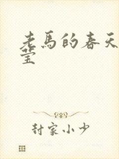 老马的春天王雪莹