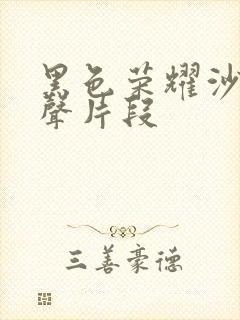 黑色荣耀沙发原声片段