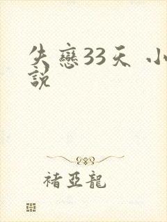 失恋33天 小说
