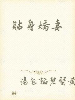 贴身娇妻