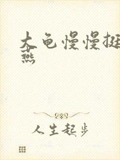 大龟慢慢挺进张燕