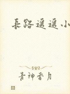 长路遥遥小说