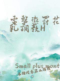 电击惩罚花蒂榨乳调教H