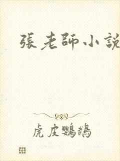 张老师小说
