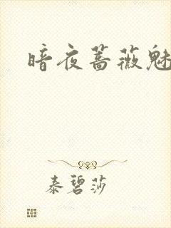 暗夜蔷薇魅之伤