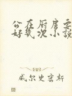 公在厨房要了我好几次小说
