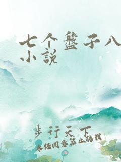 七个盘子八个碗小说