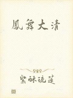 凤舞大清