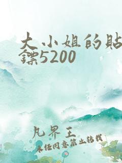 大小姐的贴身保镖5200