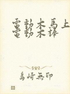 电动木马上两个电动木棒