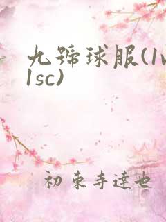 九号球服(1v1sc)