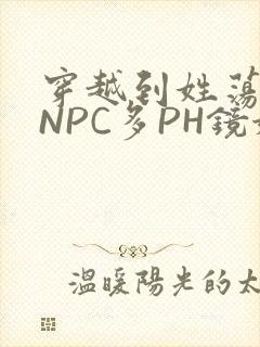 穿越到姓荡游戏NPC多PH镜姬